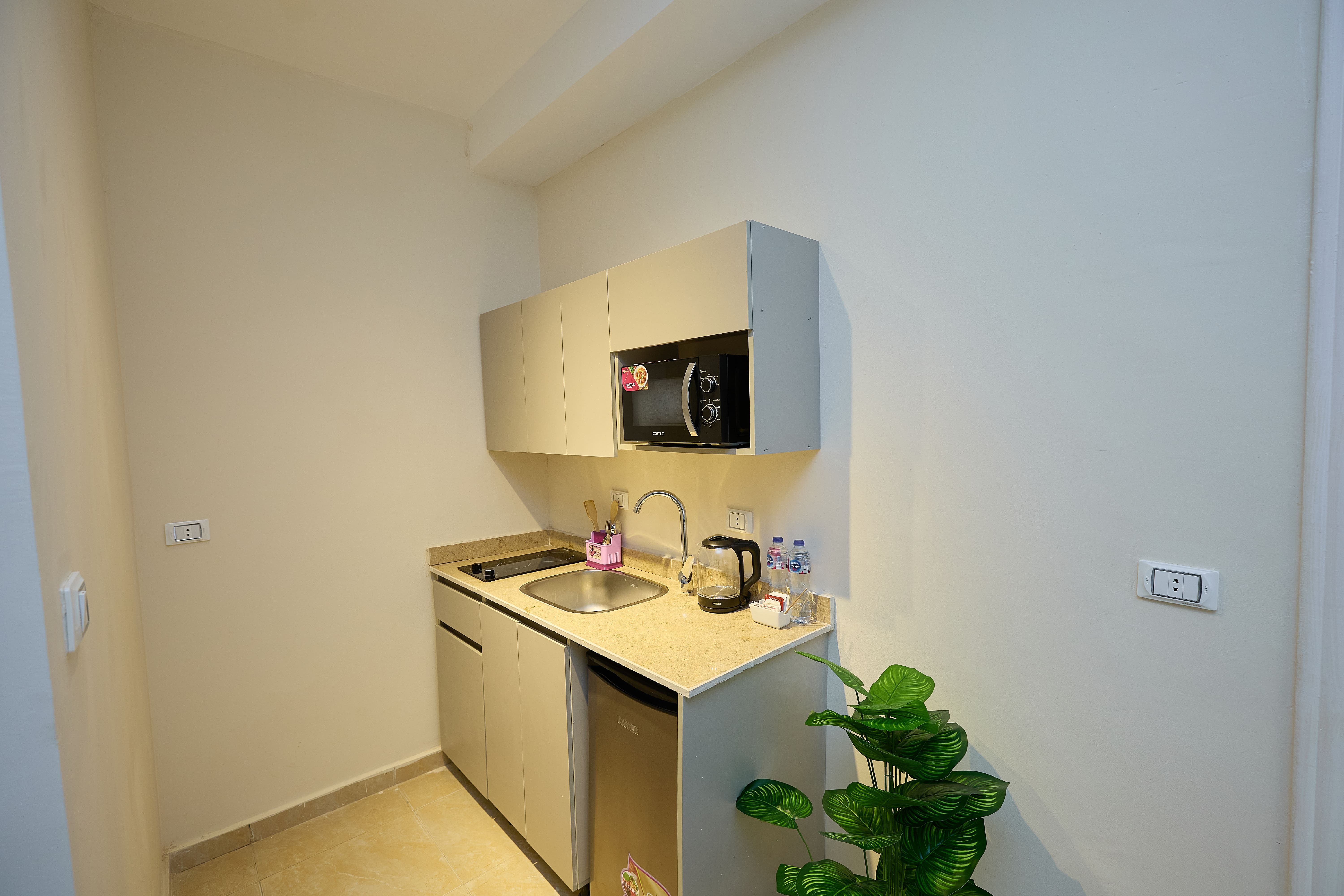 Royal Penthouse details